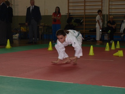 Image description